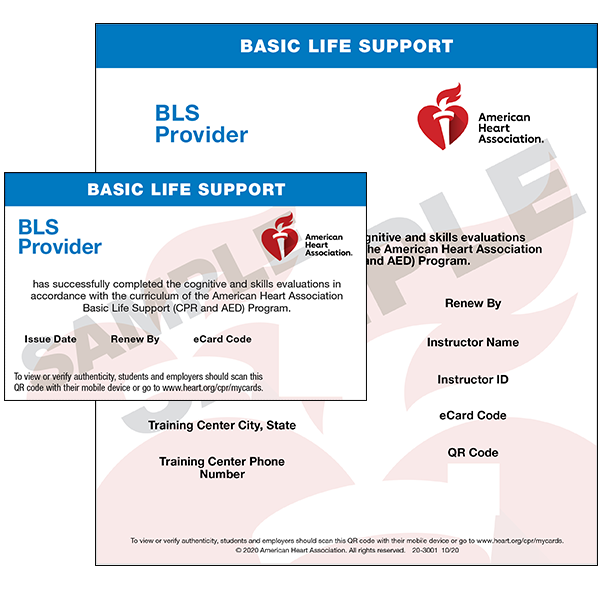 Basic Life Support (BLS)