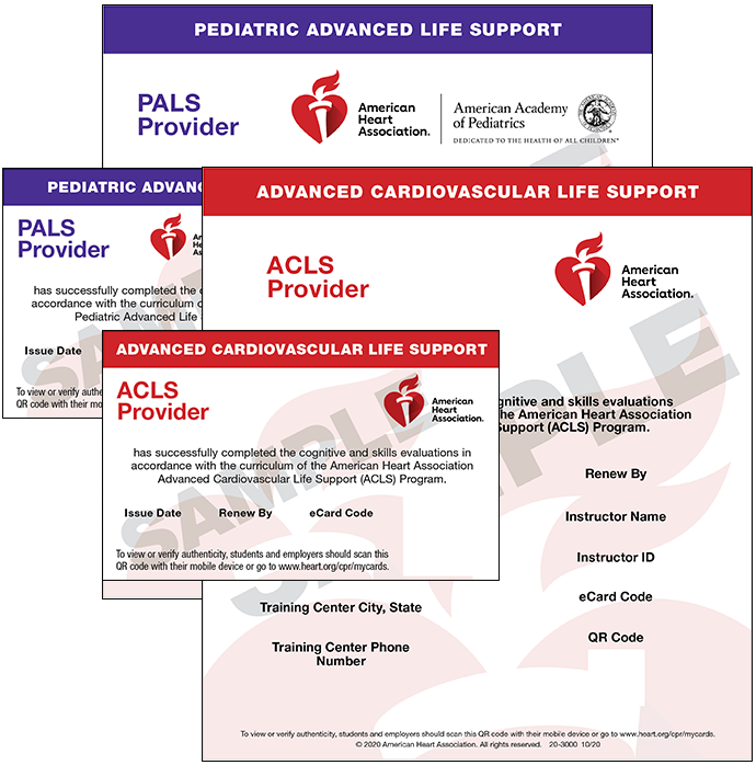 ACLS + PALS Bundle