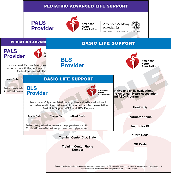 BLS + PALS Bundle