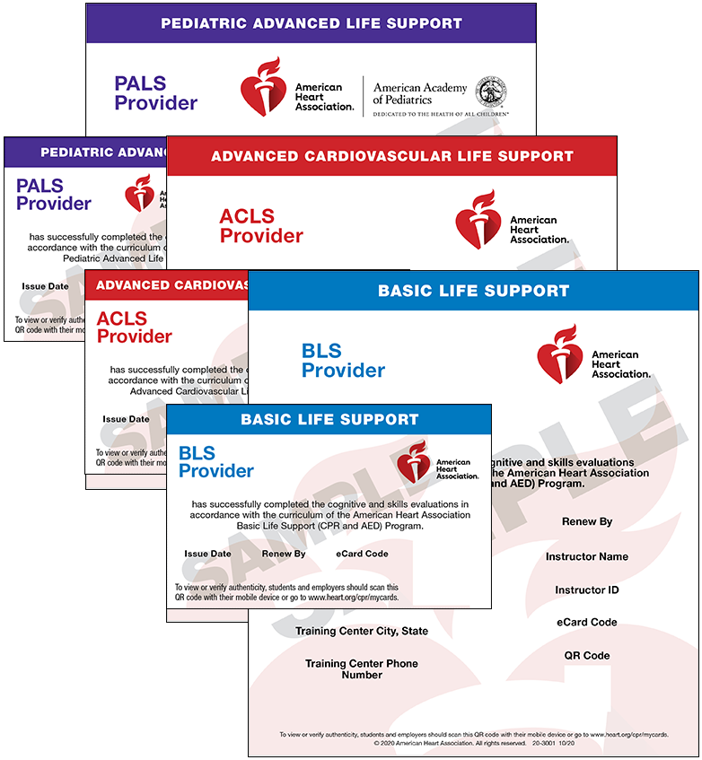 BLS + ACLS + PALS  Bundle