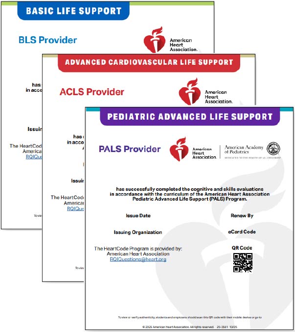BLS + ACLS + PALS  Bundle
