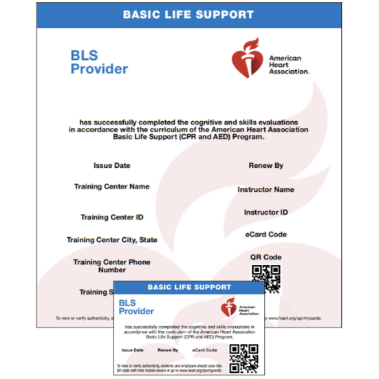 Basic Life Support (BLS) 20% off sale