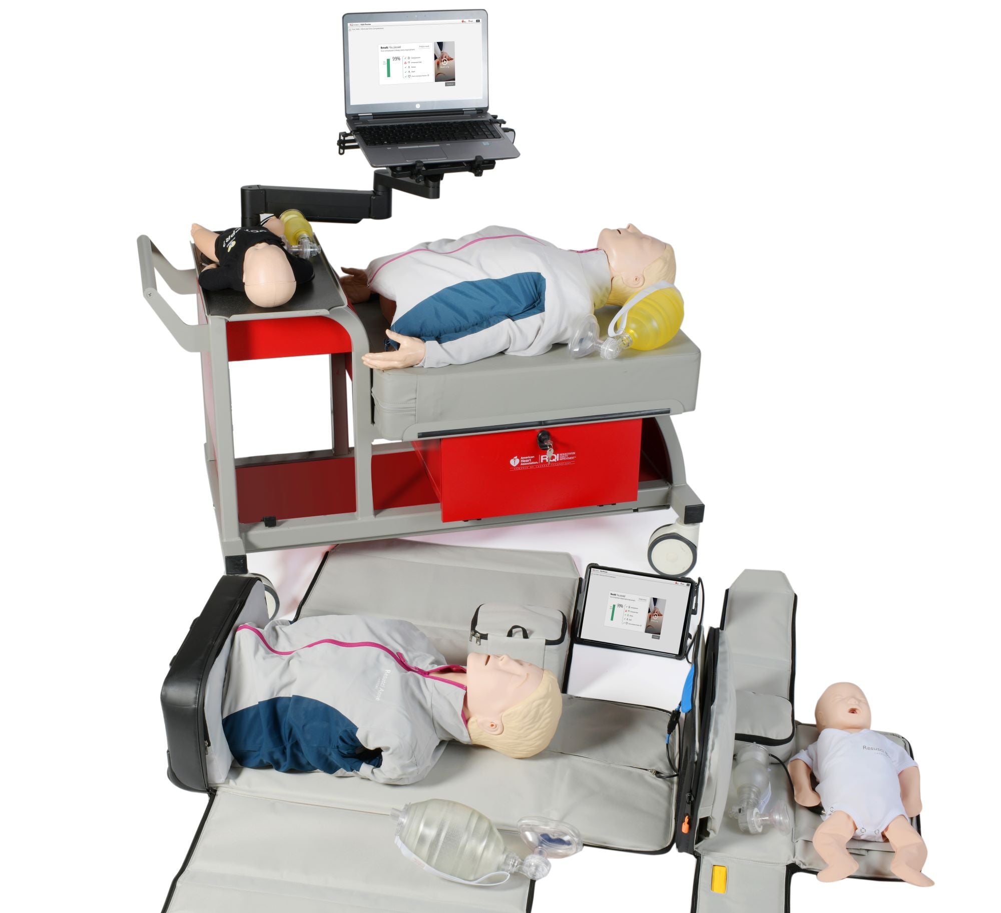 Basic Life Support (BLS) 20% off sale